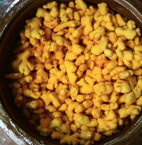 product-490-500 product-490-500